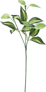 【造花】【グリーン】トラディスカンディア　グリーン　FG−5264GR