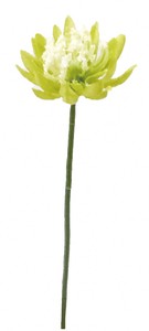 【造花】　ライトグリーン　FZY−0354LGR