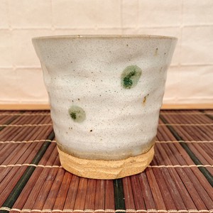 ロックカップ 水玉 土物 日本製 美濃焼 陶器 お茶 コーヒー お酒 焼酎 水割り おしゃれ カップ コップ
