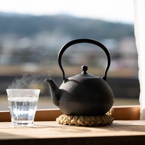 南部铁器 日式茶壶 日式餐具 佐藤金属兴业 SALUS 日本制造