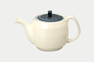 Hasami ware Japanese Teapot Pottery Natural Tea Pot Made in Japan