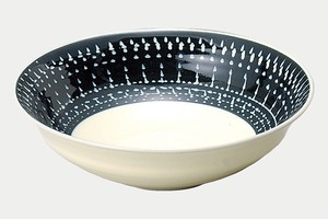 Hasami ware Main Dish Bowl Pottery Natural Made in Japan