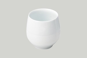 Hasami ware Japanese Teacup Pottery Tea Pot Made in Japan