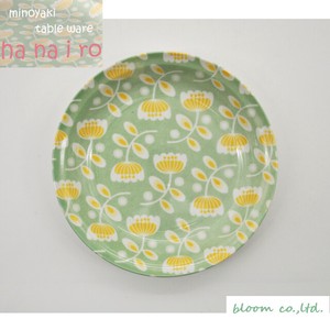 Mino ware Plate Green 22cm Made in Japan