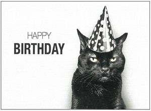 Postcard Happy Birthday Cat Monochrome
