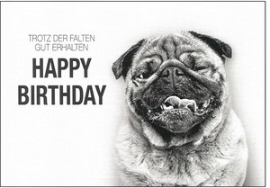 Postcard Happy Birthday Monochrome Dog