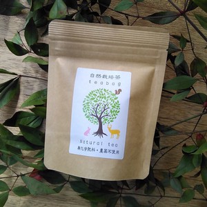 iroha 自然栽培茶ティーバッグ（2g×10P）【深蒸し掛川茶/産地直送/無化学肥料・農薬不使用】