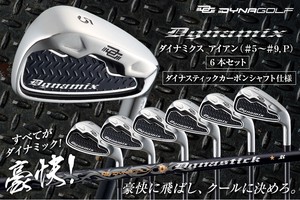 【アイアン】ダイナミクスアイアン 5〜P 専用ダイナスティック仕様 ゴルフ
