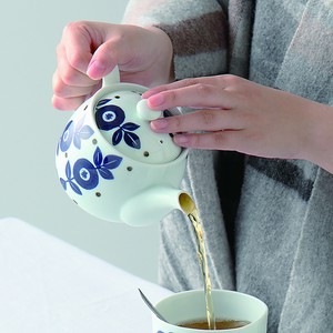Hasami ware Tea Pot Made in Japan
