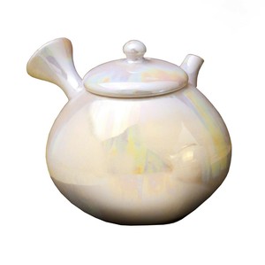 Tokoname ware Japanese Tea Pot
