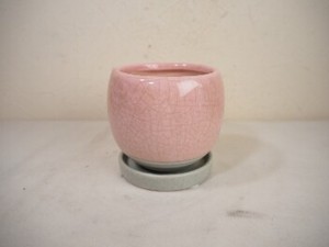 【ポット】ﾗｳﾝﾄﾞﾎﾟｯﾄS【ピンク】（受皿付）