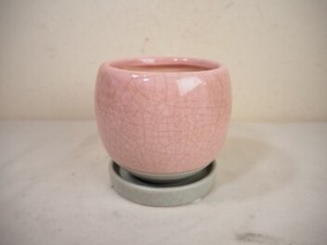 【ポット】ﾗｳﾝﾄﾞﾎﾟｯﾄM【ピンク】（受皿付）