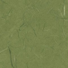 染和紙 雲竜紙 （濃色） 108 緑