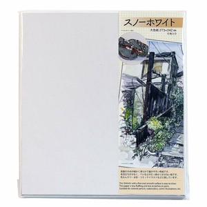 Sketchbook/Drawing Paper Silver White 5-pcs Made in Japan