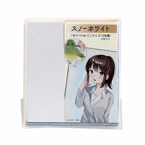 Sketchbook/Drawing Paper Silver 5-pcs Made in Japan