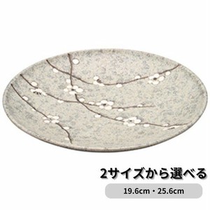 おぼろ早春大皿 中皿 陶器 和食器 日本製 美濃焼
