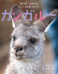 Children's Pets/Animals Picture Book Kangaroo