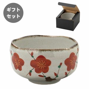 ギフトセット 赤梅 手描抹茶碗 美濃焼 日本製