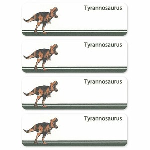 【お名前シール】シール＆アイロン両用ネームラベル 4枚セット ティラノサウルス 恐竜