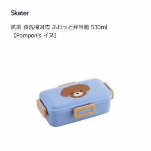 Bento Box Skater 530ml