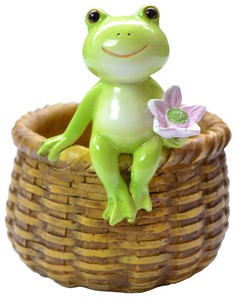 Object/Ornament Frog Small Case