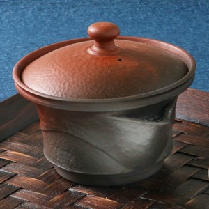 Tokoname ware Japanese Tea Pot