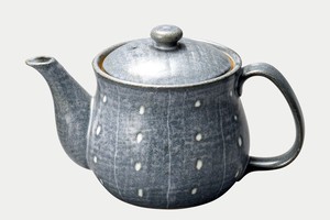 Mino ware Japanese Tea Pot Pottery Droplets