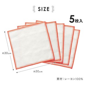Cleaning Product 5-pcs