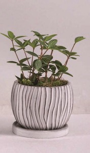Pot/Planter White