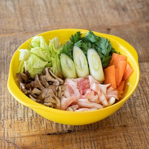 Mino ware Main Dish Bowl Yellow Made in Japan