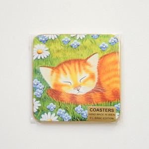 Coaster Cat