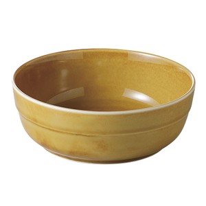 Mino ware Donburi Bowl Caramel M Made in Japan