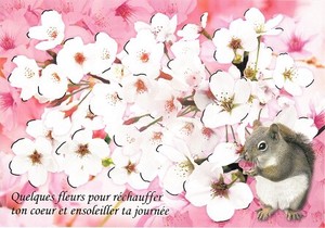 Postcard Cherry Blossom Animals Foil Stamping Squirrel