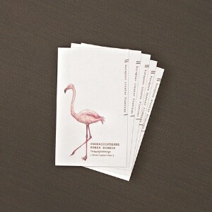 フラミンゴの名刺メッセージカード