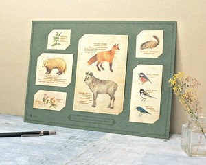 Greeting Card