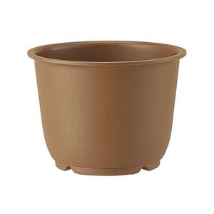 陶鉢 輪型6号 きん茶