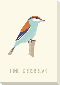 キャンバスアート North Birds Mini Panel Pine Grosbreak