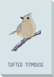キャンバスアート North Birds Mini Panel Tufted Titmouse