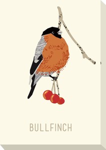 キャンバスアート North Birds Mini Panel Bullfinch