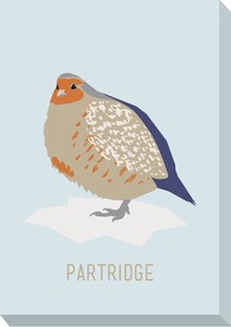 キャンバスアート North Birds Mini Panel Partridge