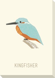 キャンバスアート North Birds Mini Panel Kingfisher