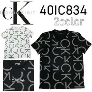 CALVIN KLEIN(カルバンクライン) Tシャツ 40IC834