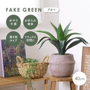 人造绿植 绿色