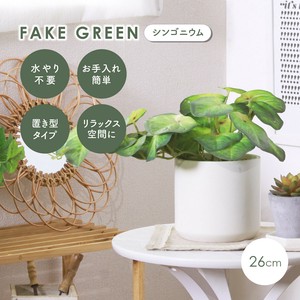 人造绿植 陶瓷 绿色