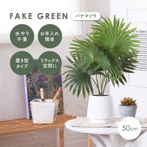 人造绿植 陶瓷 绿色