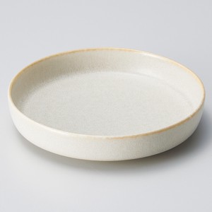 Main Dish Bowl Porcelain sliver NEW Made in Japan