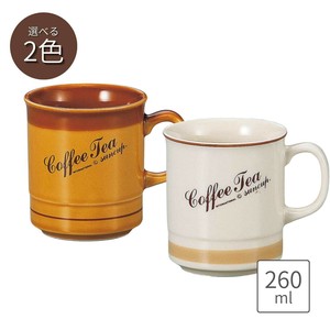 Mino ware Mug Pottery L size Made in Japan
