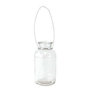 Flower Vase Spice Clear Size L