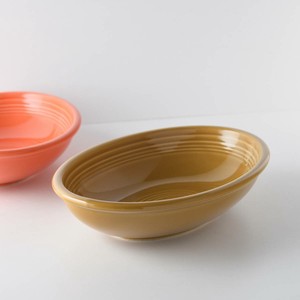 Mino ware Main Plate Western Tableware 27cm Made in Japan