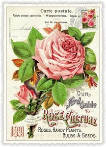 Postcard Flower Die-cut